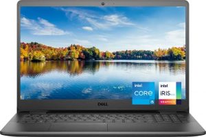 Dell Inspiron 15 3000 Series 3501 Laptop