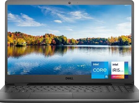 Dell Inspiron 15 3000 Series 3501 Laptop